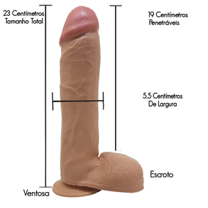 Pênis Realista Grosso Glande Saliente com Escroto e Ventosa 23x5,5cm
