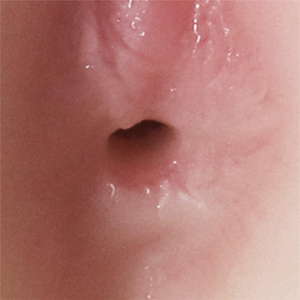 Masturbador Realístico Bunda com Vagina e Ânus Texturizados