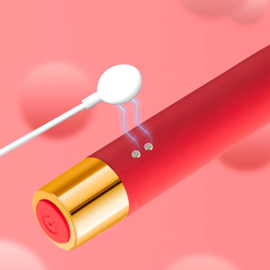 Vibrador Rabbit Ponto G Recarregável 10 Modos