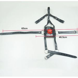 MORDAÇA HARNESS /LOCKABLE COM GAG BALL