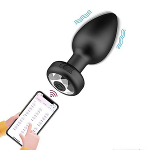 Plug Anal com Vibro - controle Via APP À Longa Distância  – Stoys