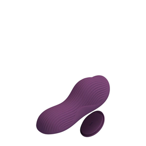 Vibrador Recarregável para Calcinha com Ímã e Controle via Aplicativo à Distância – PRETTY LOVE MANE – BW-022100HP