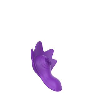 Vibrador e Estimulador Recarregável com Imã para Prender na Lingerie com App  – EC-028