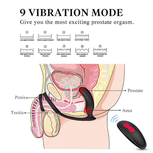 ANEL PENIANO COM VIBRADOR DE PROSTATA - LANCO RCT