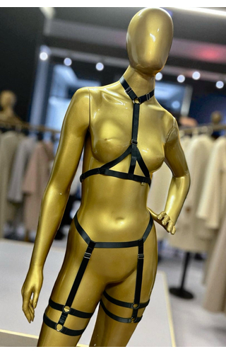 Conjunto Harness Ajustável LS KLEIN