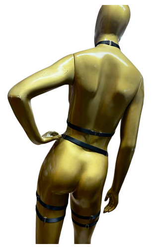 Conjunto Harness Ajustável LS KLEIN