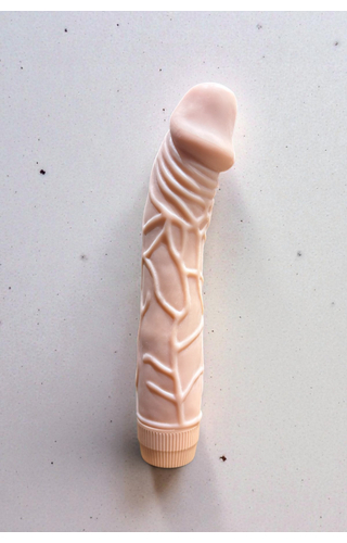 Pênis com Vibrador 22,5 x 4,5cm