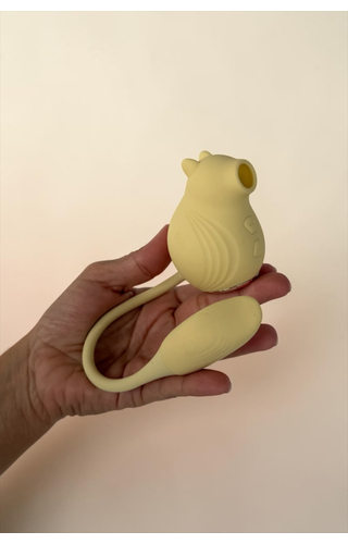 Vibrador e Sugador recarregável Ivy Flex