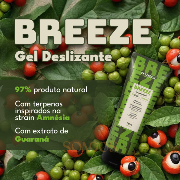 LUBRIFICANTE BREEZE COM TERPENOS 60ML