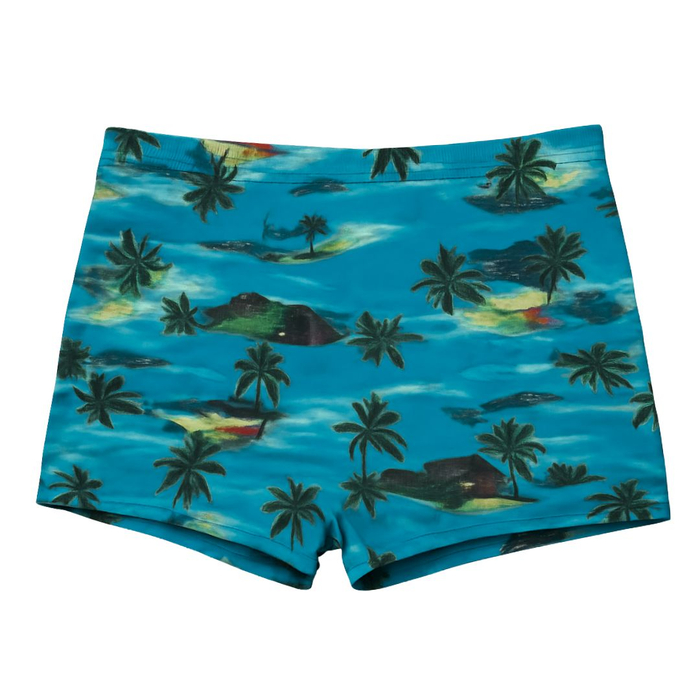 Sungão Juvenil Estampa Praiana Hangar Lingerie