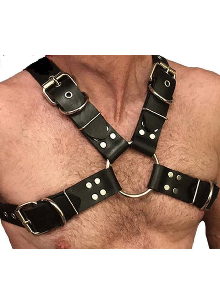 HARNESS FORMATO X AJUSTÁVEL LTOYS