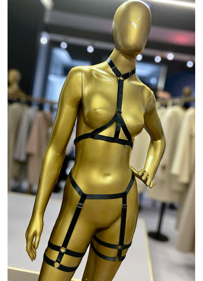 Conjunto Harness Ajustável LS KLEIN