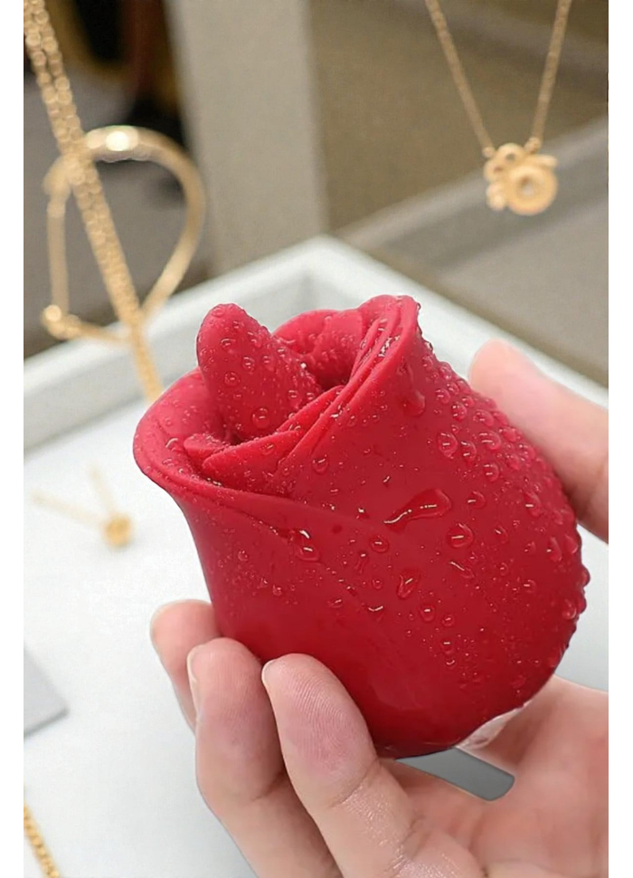 Vibrador Língua vai e vem 10 vibrações Mina