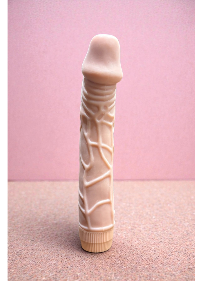 Pênis com Vibrador 22,5 x 4,5cm
