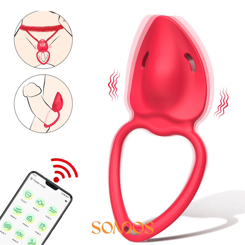 CALCINHA COM VIBRADOR VIA APLICATIVO